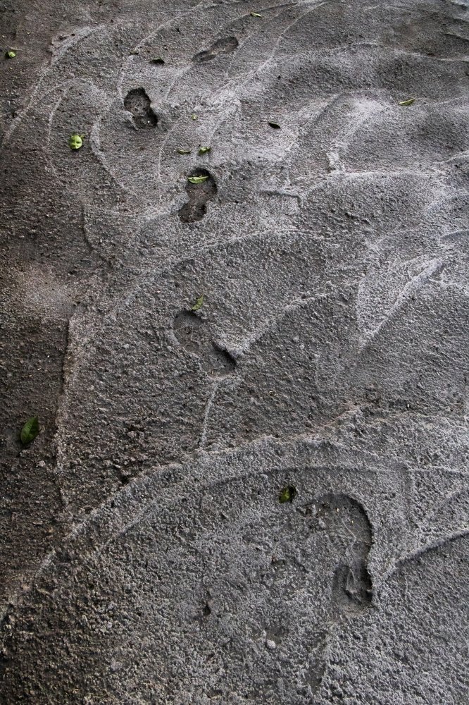 Photograph by Alireza khazaei