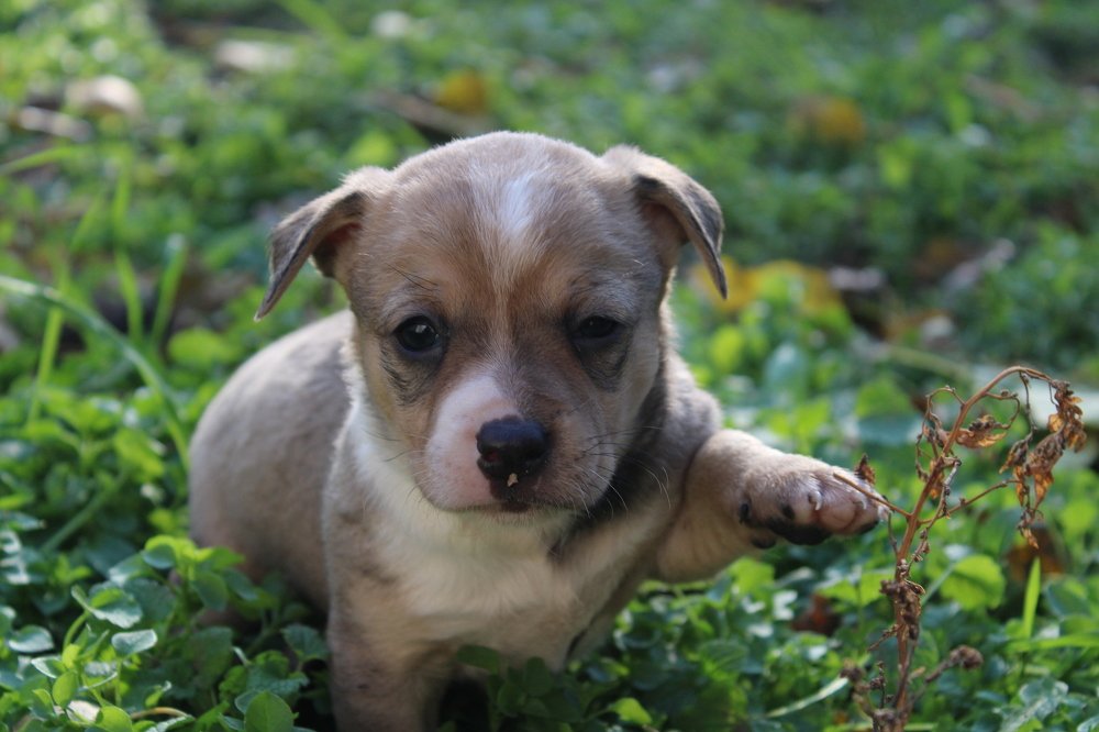 Photograph by Юлия Чурина