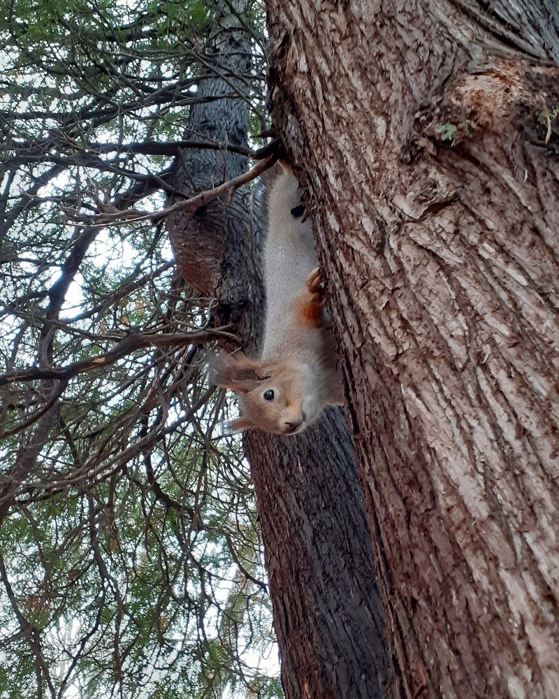Photograph by Любовь Макарова