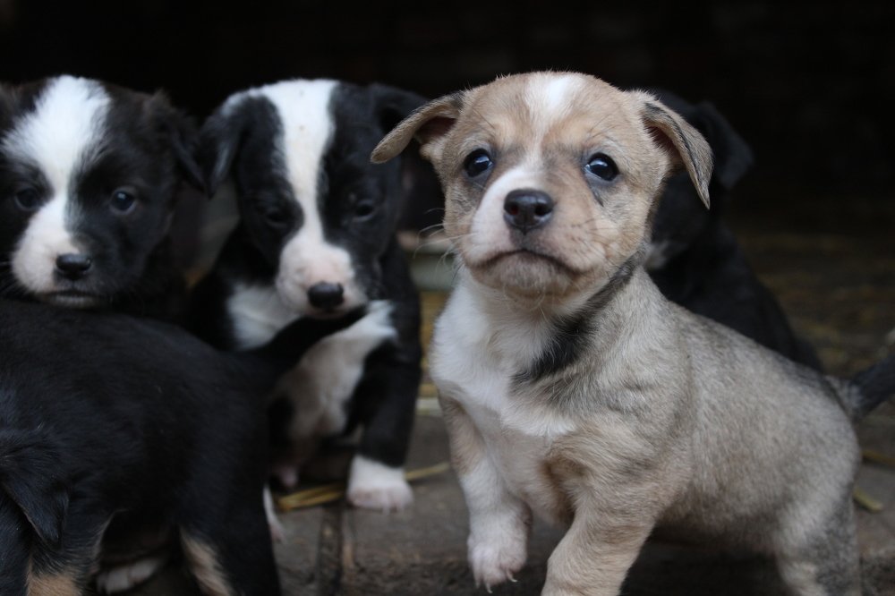 Photograph by Юлия Чурина