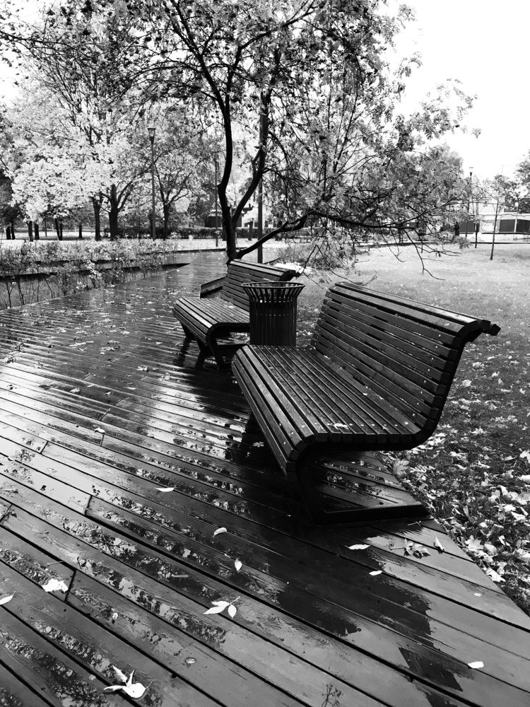 Был дождь, да прошел.