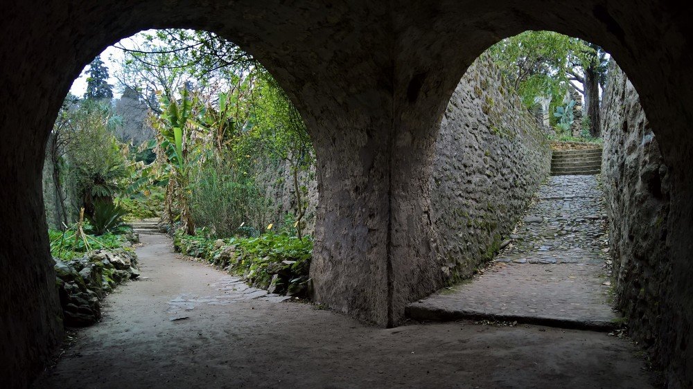 Photograph by Alba Zoe Gržin