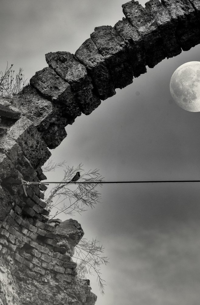 Photograph by vasil kolev