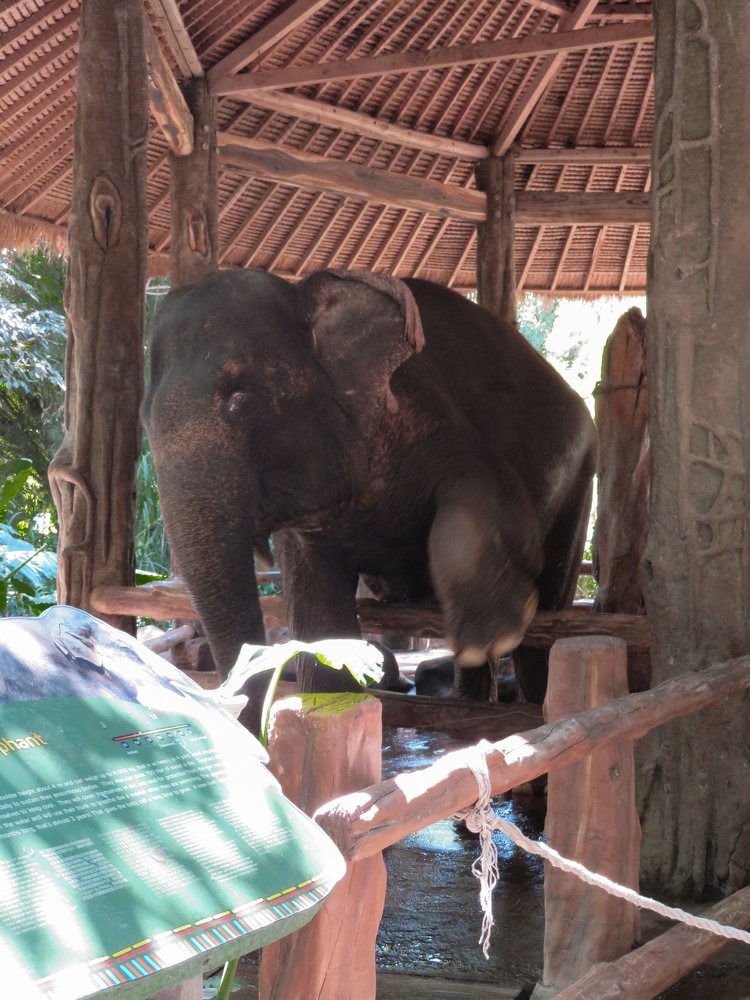 Photograph by Марина Осипова