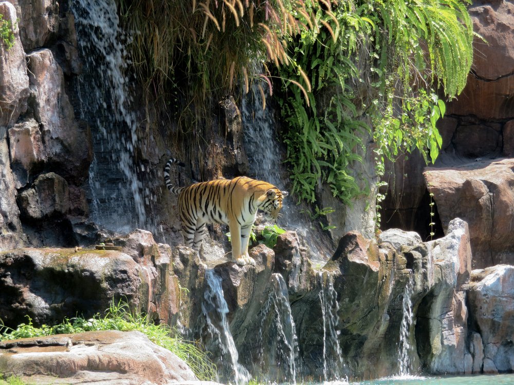 Photograph by Марина Осипова