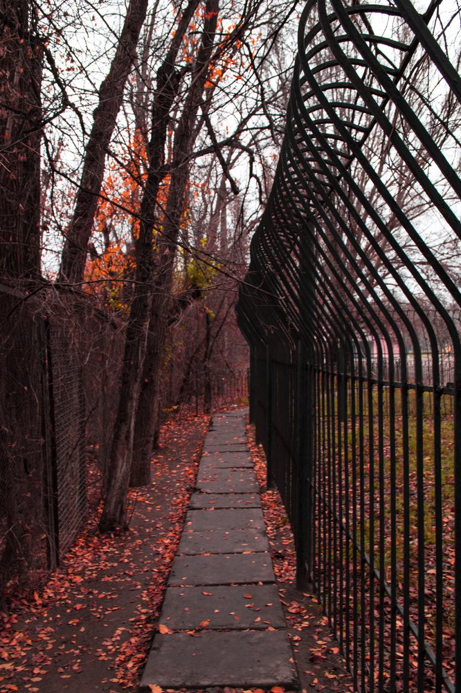 Photograph by Надежда Гольдфарб