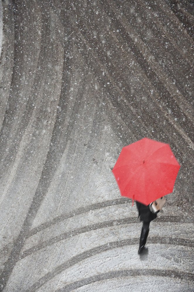 Photograph by Antonina