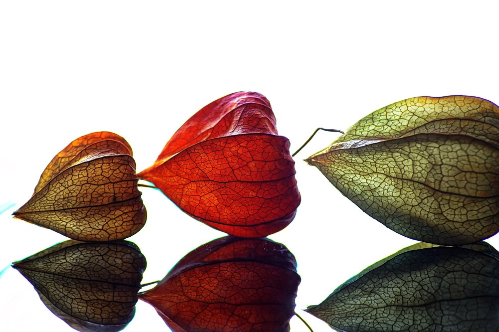 Photograph by Максим Двинин