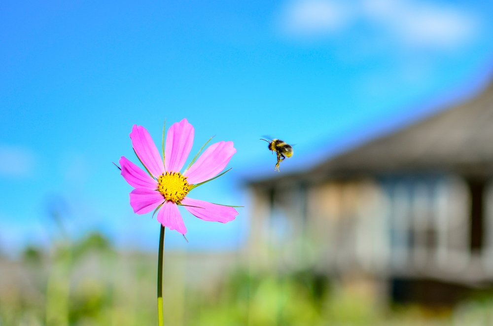 Photograph by Сергей Глухарев