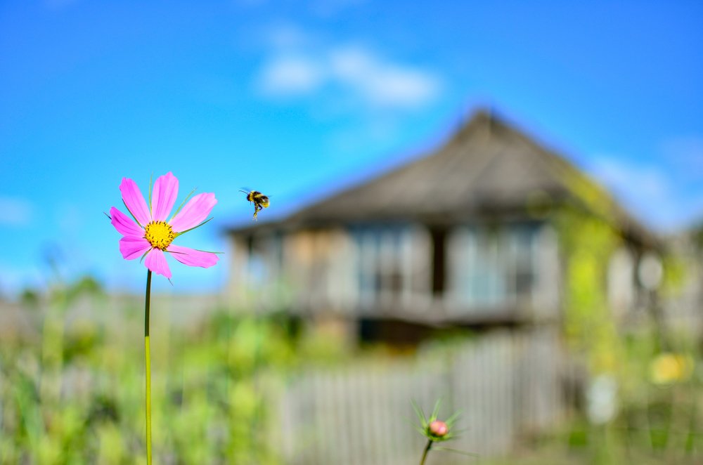 Photograph by Сергей Глухарев