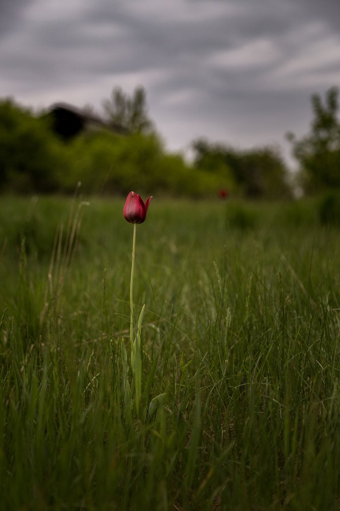 Photograph by Антон Кривошейцев