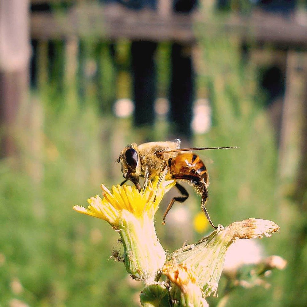 Photograph by Федоренко Элеонора