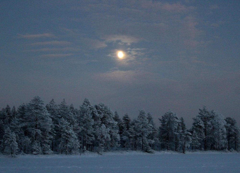 Луна над озером