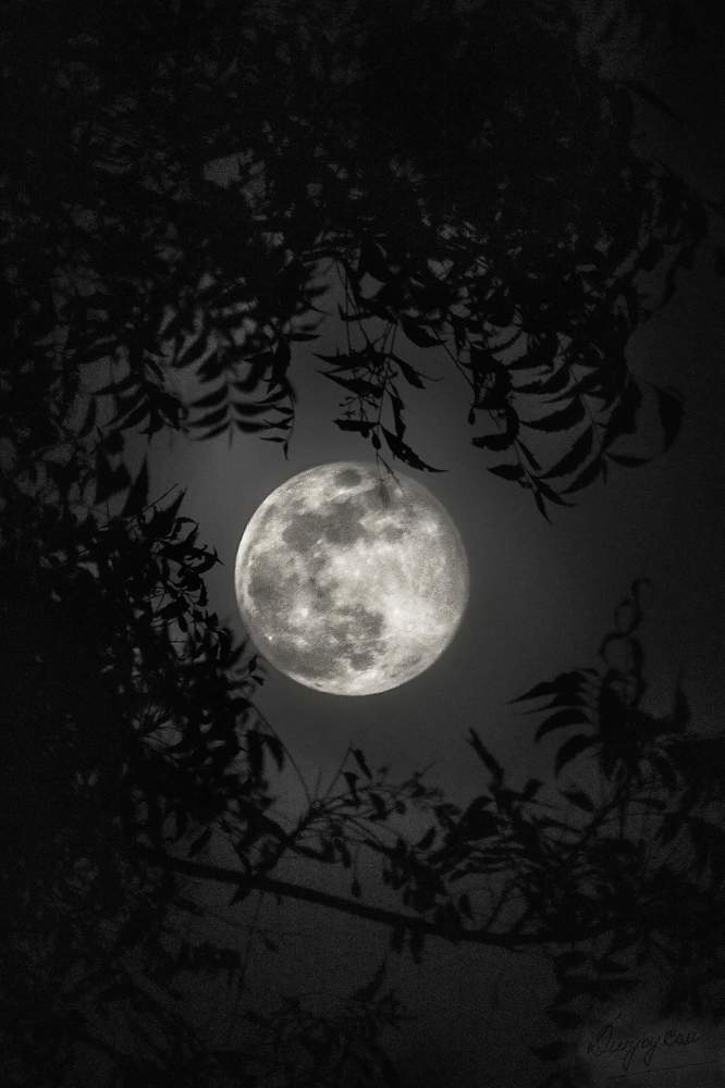 Photograph by SUSMITA SARDAR