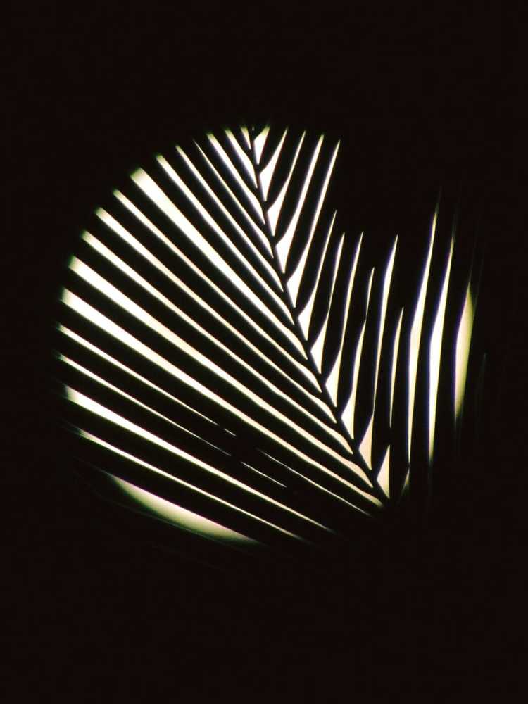 Photograph by SUSMITA SARDAR