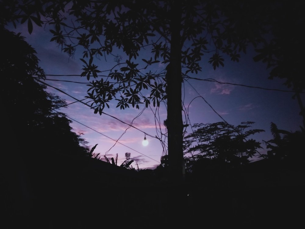Photo #3890896