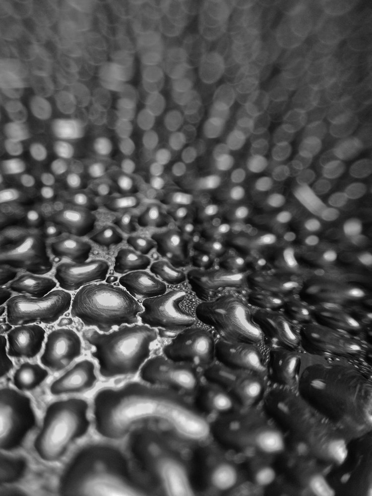 Photograph by Harisankar B