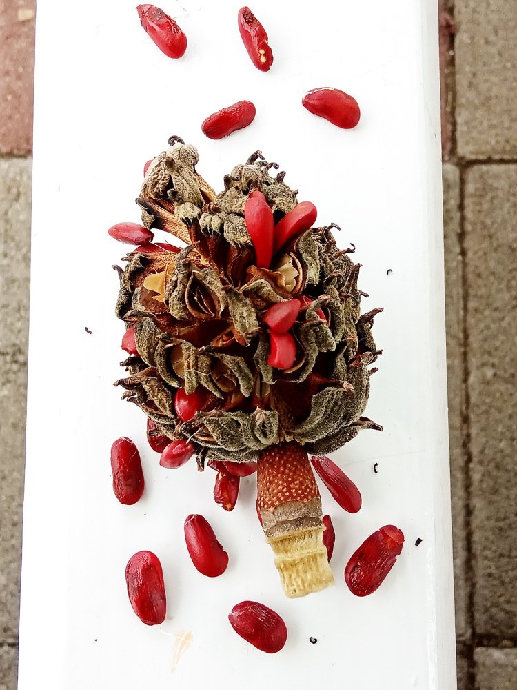 Photograph by Ирина Синягина