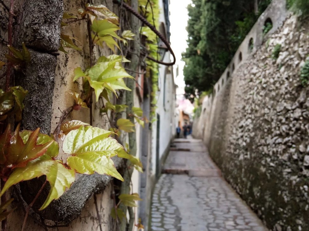 Photograph by Ирина Синягина