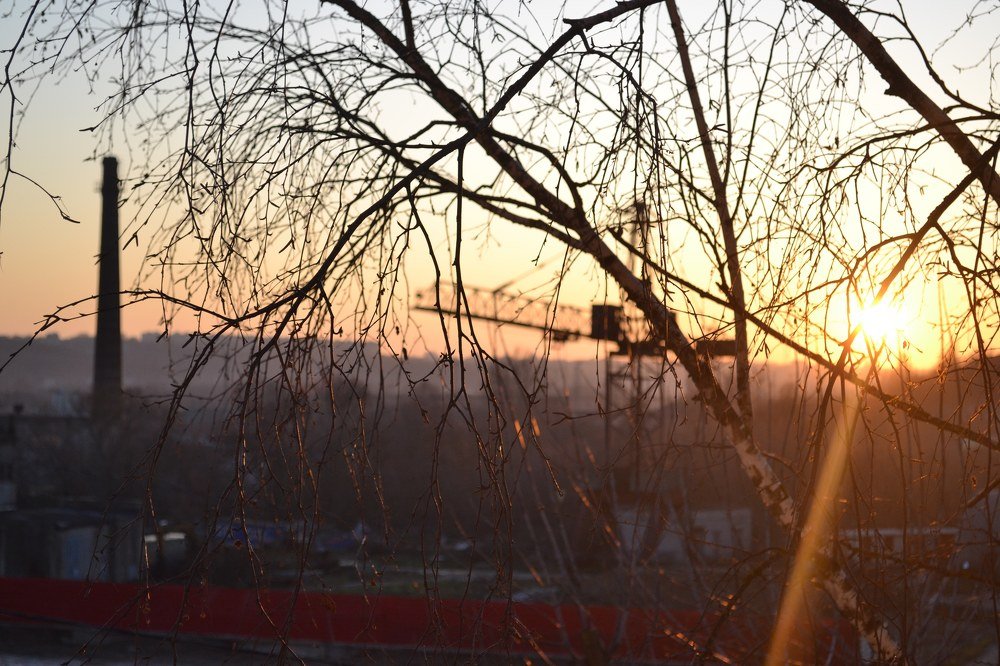 Photograph by Дмитрий