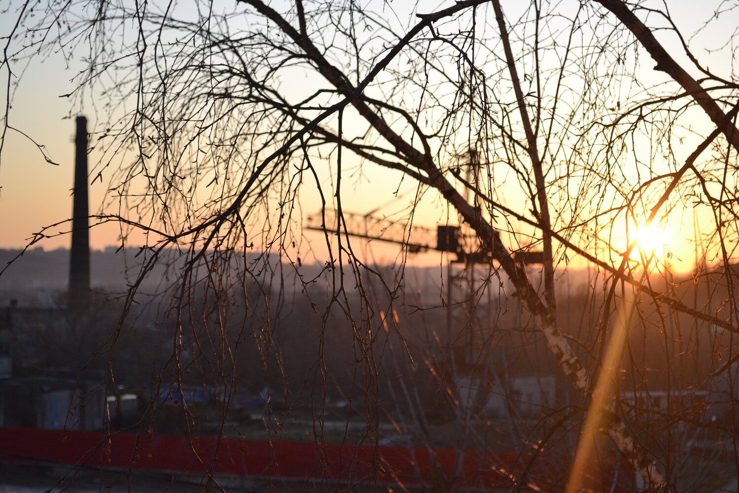 Photo #3891075