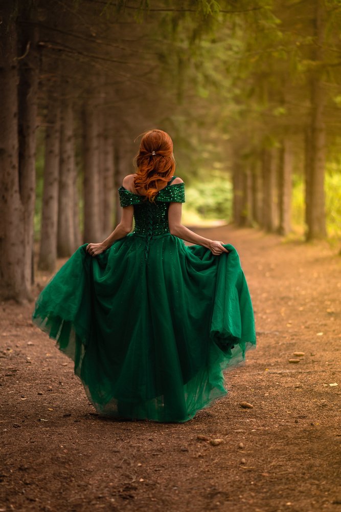 Сказочный лес