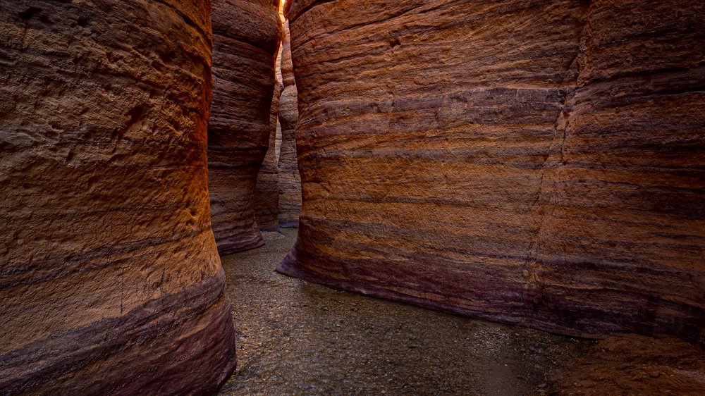 Photograph by Marian Lubawski