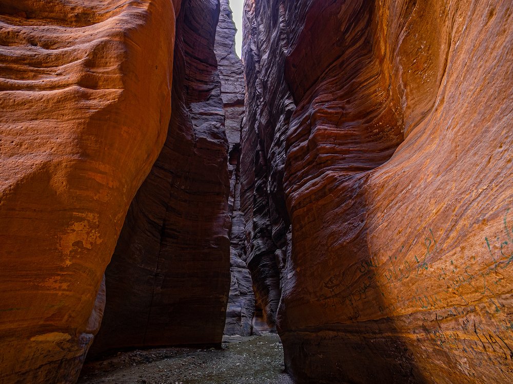 Photograph by Marian Lubawski