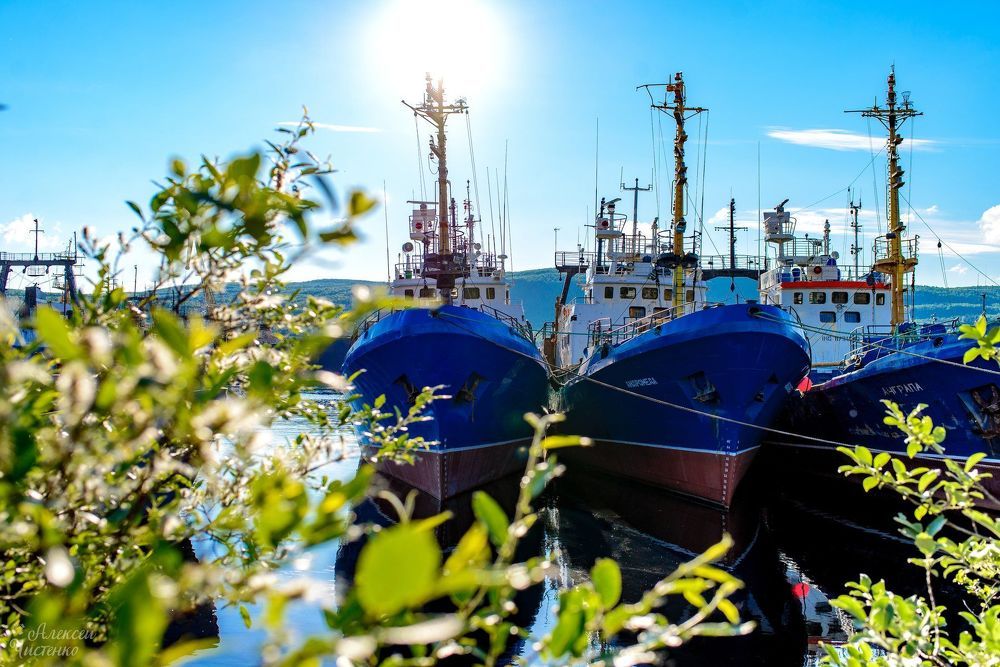 Photograph by Алексей