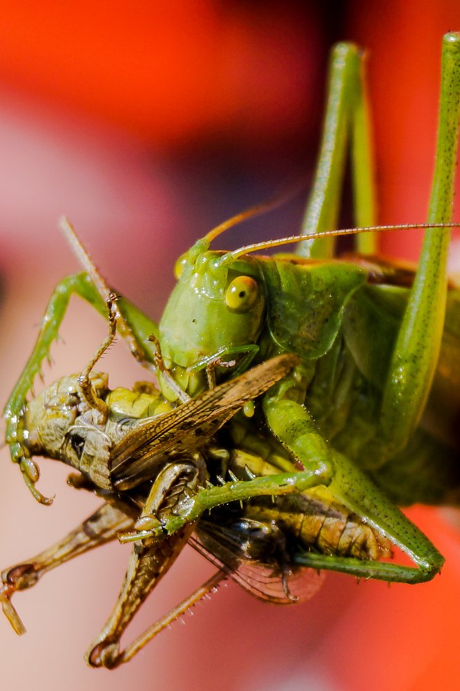 Photograph by Евгений Калагаев