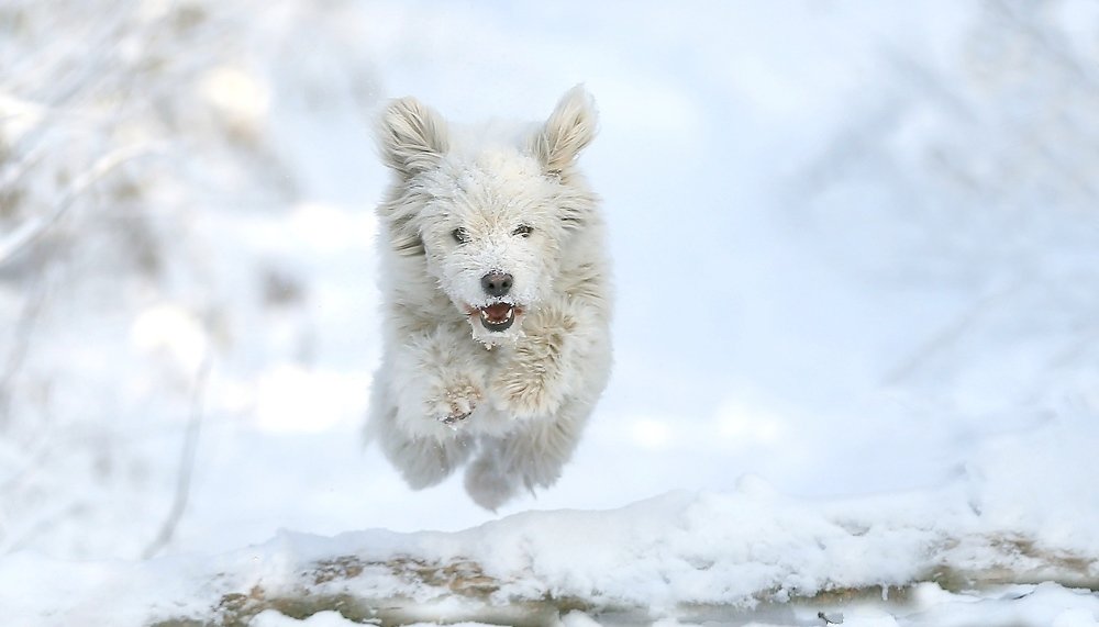 Photograph by Константин Слободчук
