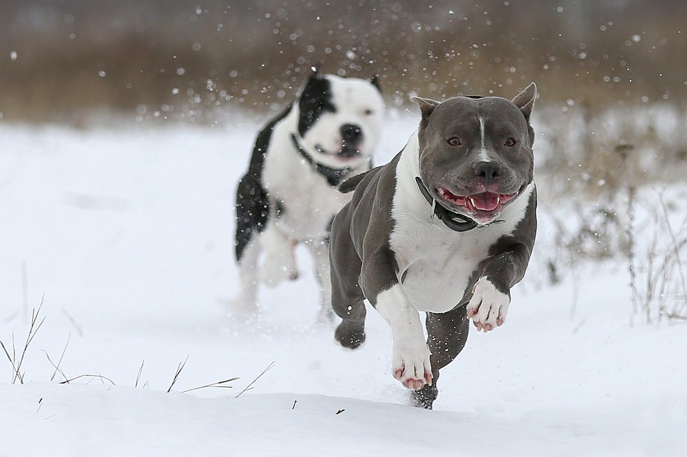 Photograph by Константин Слободчук