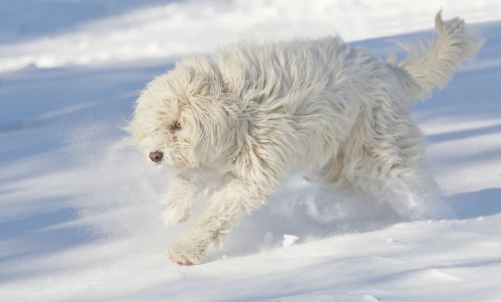 Photograph by Константин Слободчук