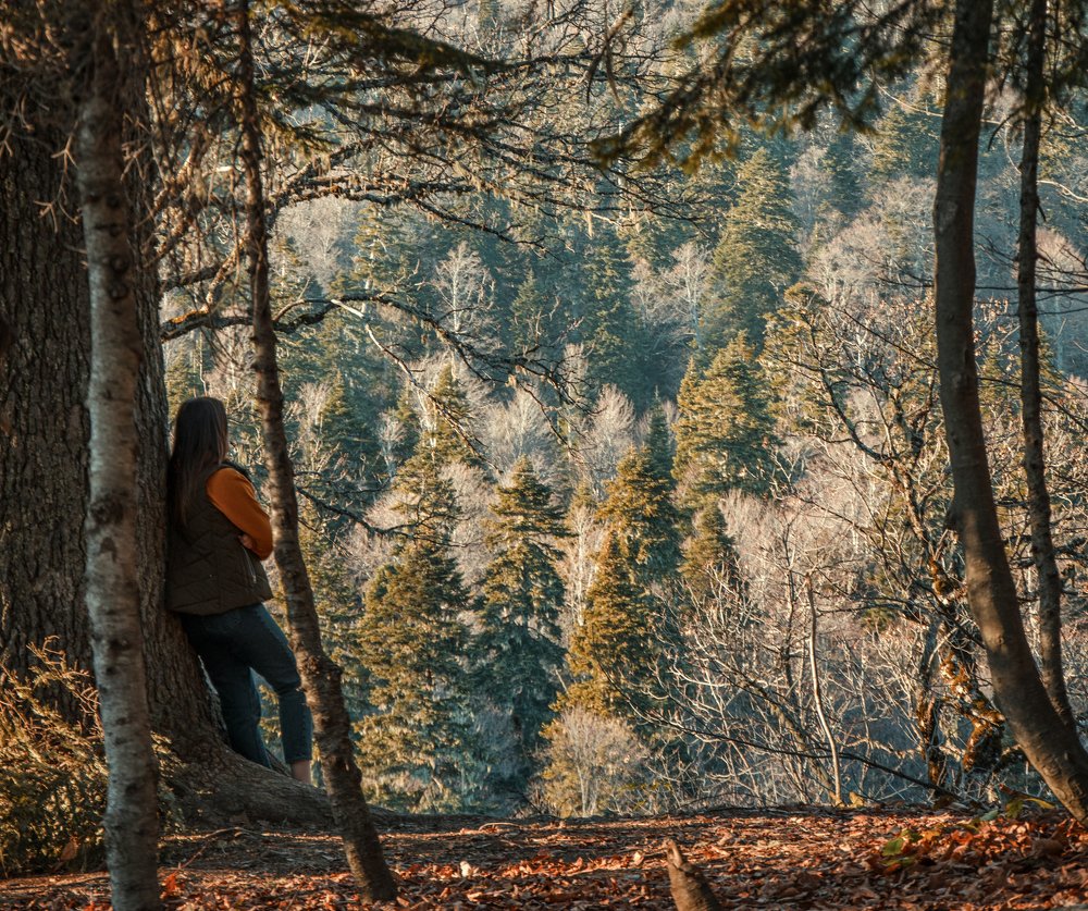 Photograph by Михаил Kolesnik