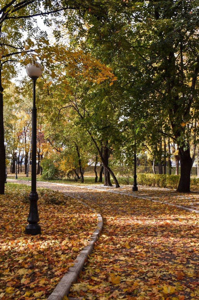 Photograph by Olga Yankus