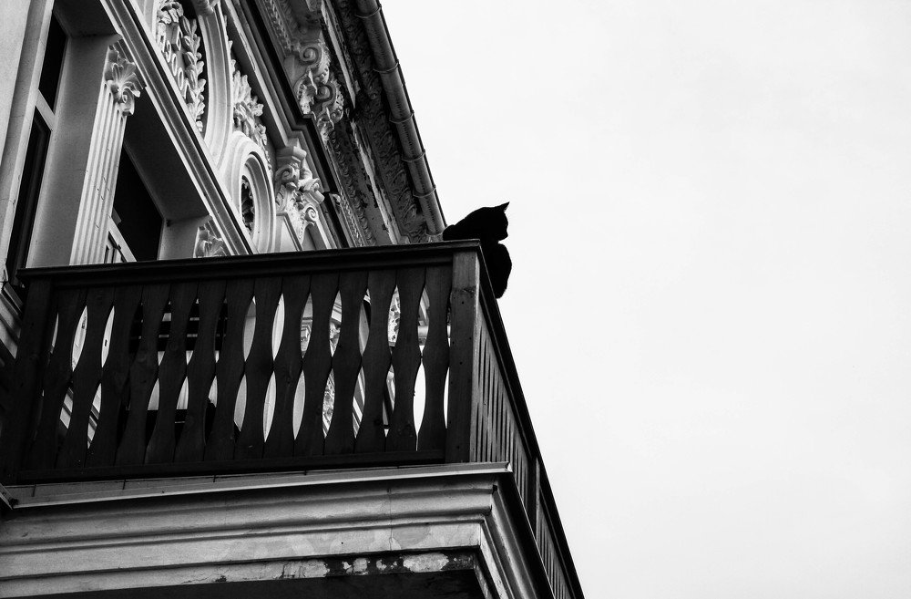 Фотография автора Алена Гамоля