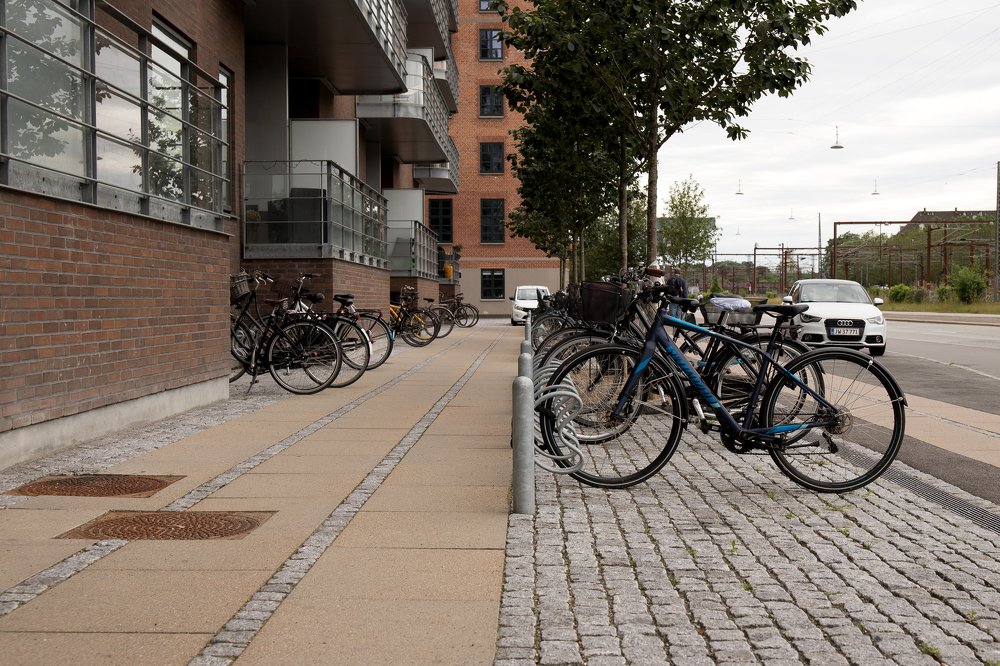 Фотография автора Елена Ельшина