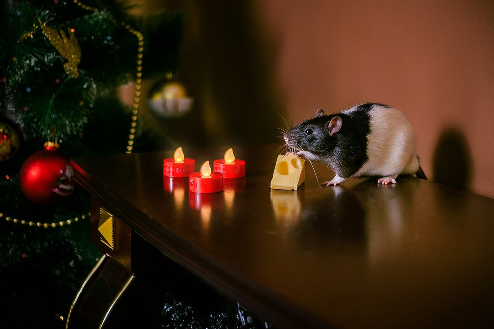 Photograph by Елена Маслова