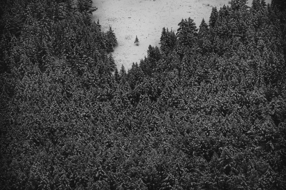 Photograph by Г. Мөнх-Од