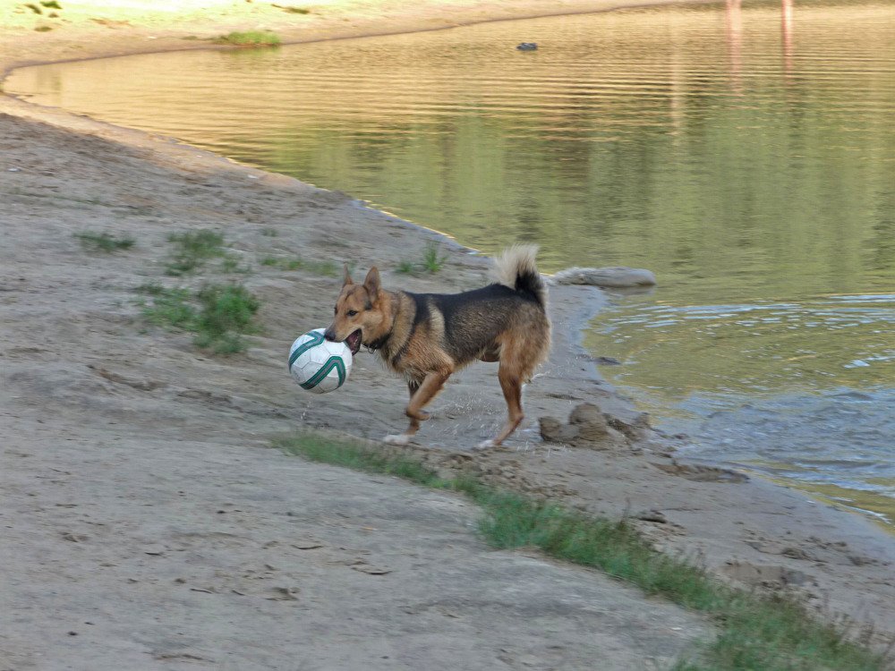 Фотография автора Клавдия Васильева