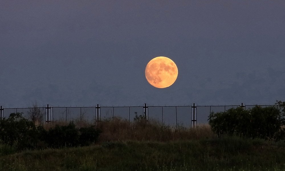 Луна над парком
