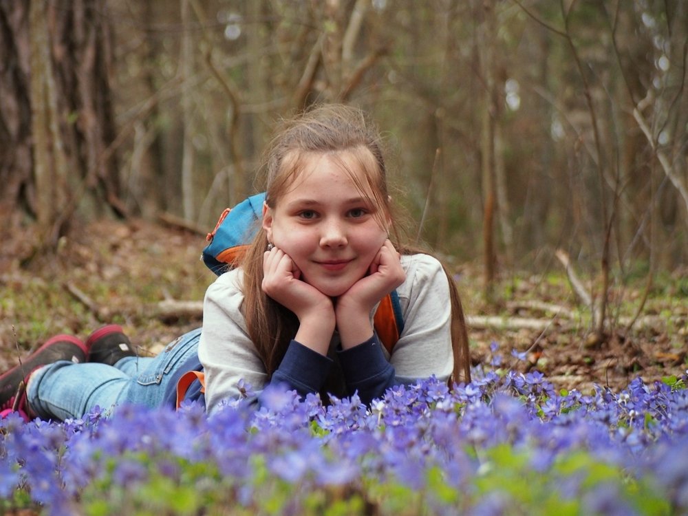 В весеннем лесу