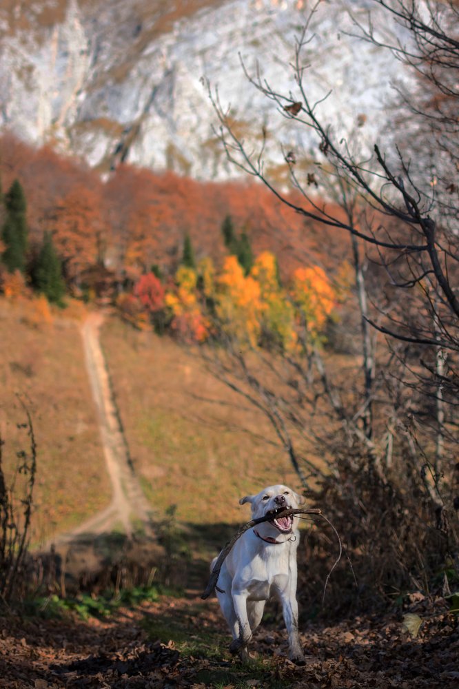Photograph by Марина Анищенко