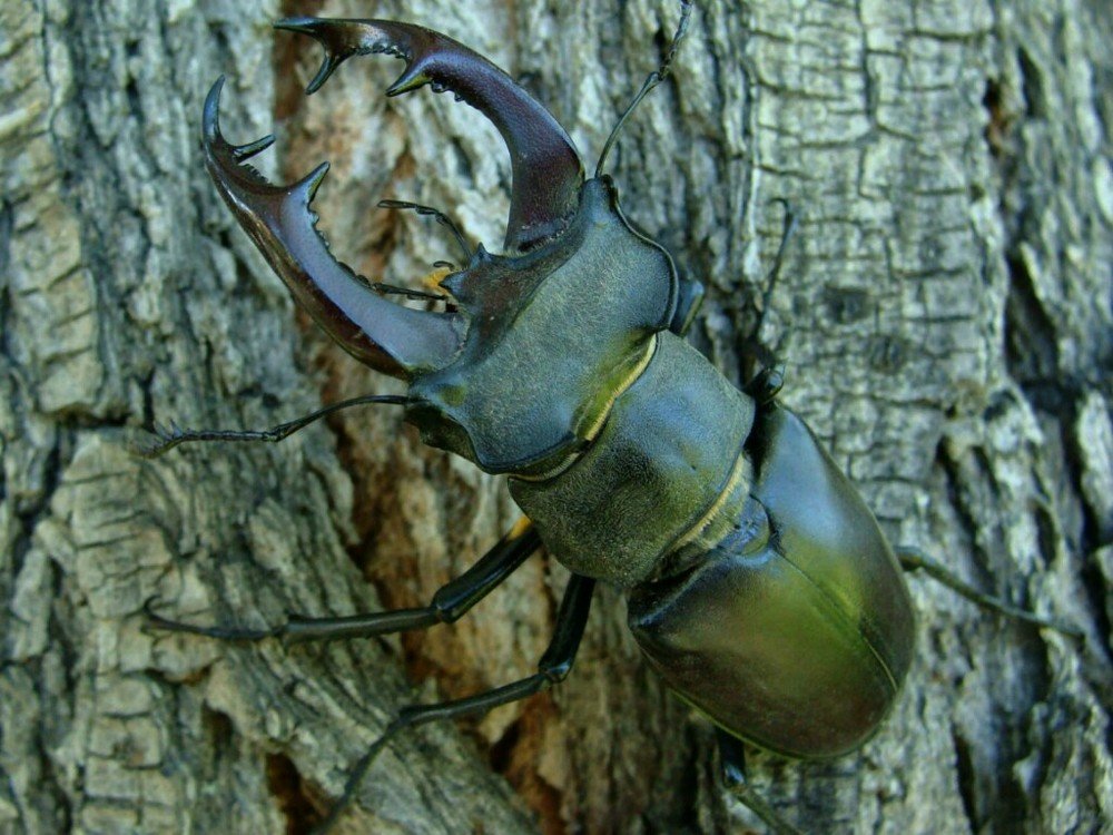 Photograph by Павел Попов