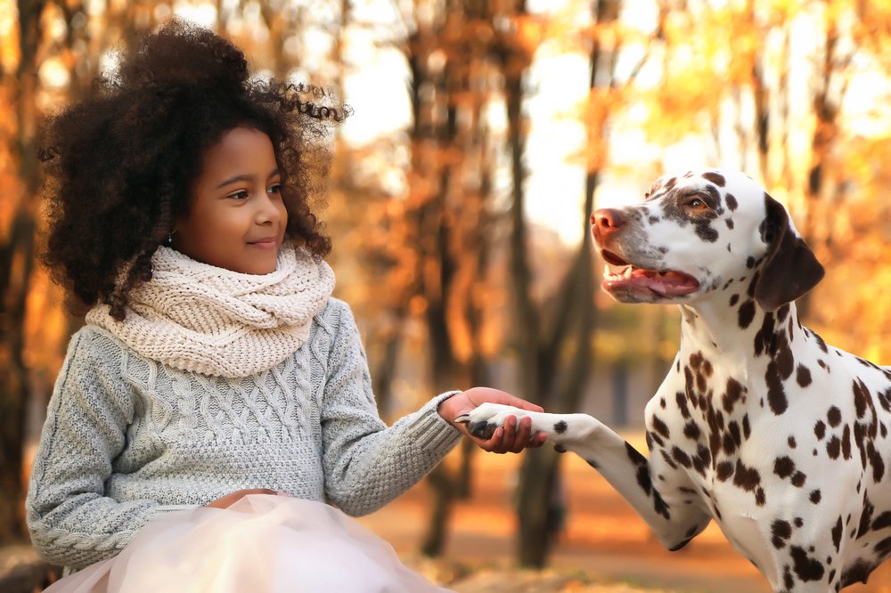 Photograph by Анастасия Кочеткова