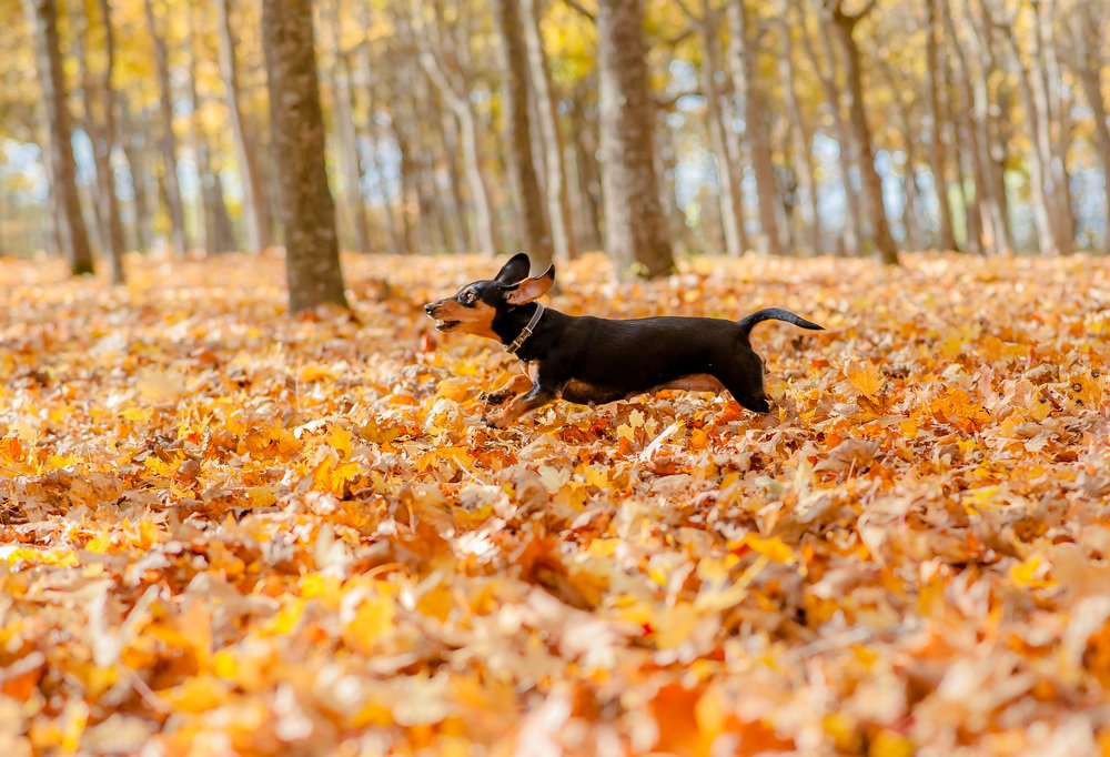 Photograph by Яна Украинец