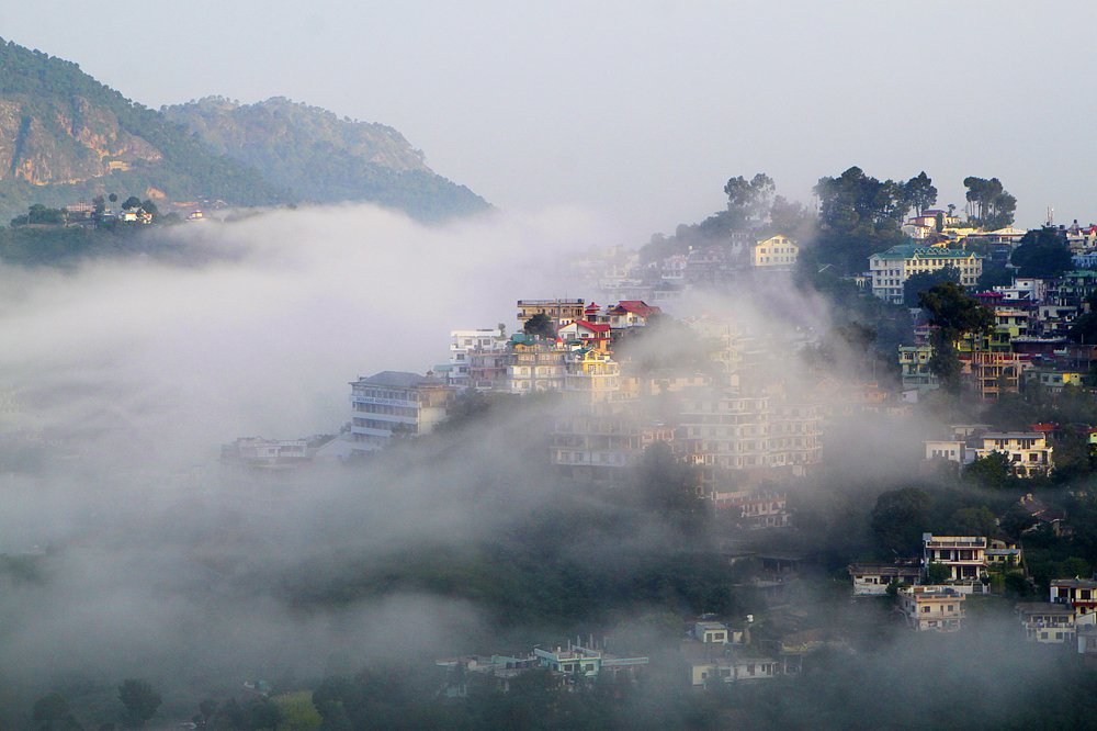 Photograph by seema Gupta