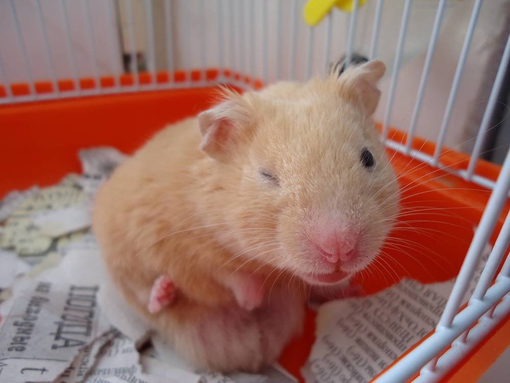 Photograph by Иван Кирилков