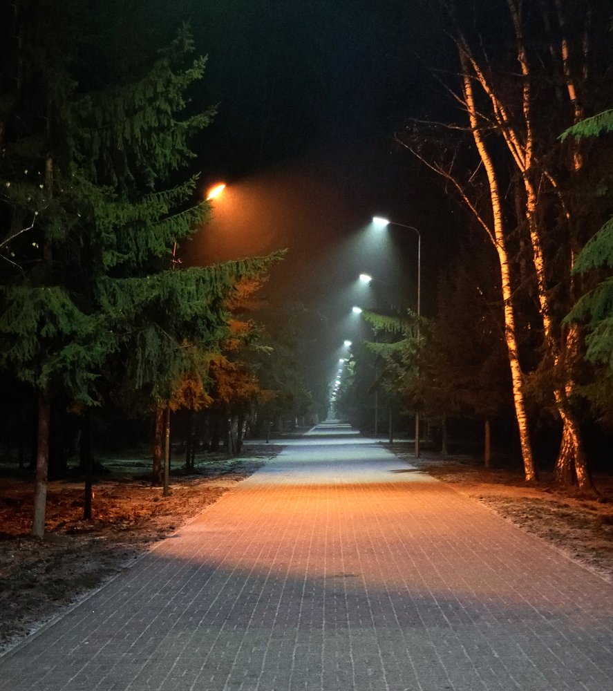 Photograph by Максим Двинин