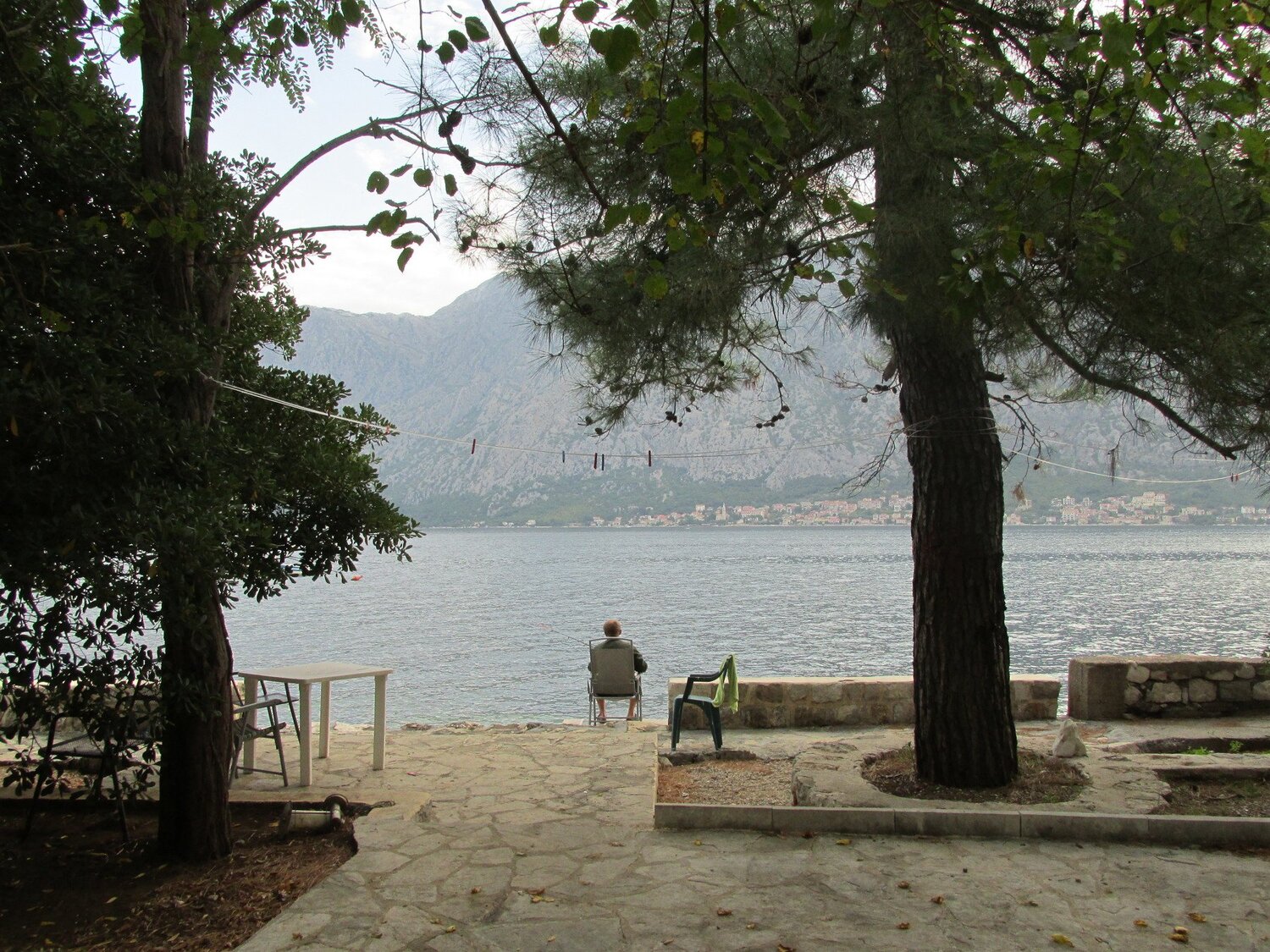 Photo #3892307